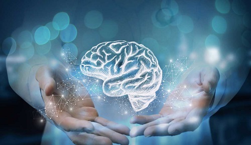 ¿Cómo influye la microbiota intestinal en nuestra salud cerebral? ¿Cómo influye la microbiota intestinal en nuestra salud cerebral?