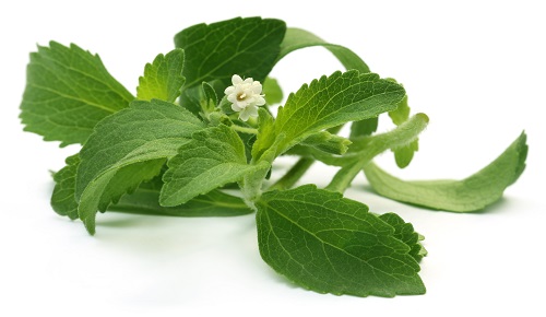 ¿La estevia es saludable? ¿La estevia es saludable?
