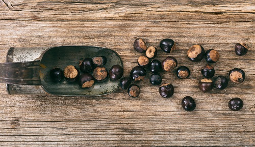 ¿Qué es y para qué sirve el guaraná? ¿Qué es y para qué sirve el guaraná?