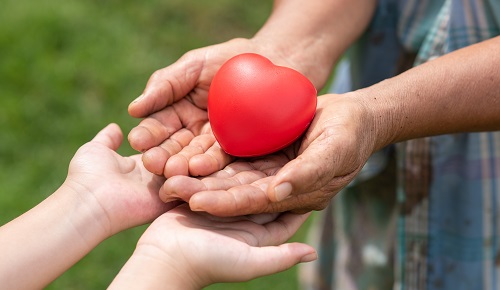 Diferencia entre longevidad y esperanza de vida